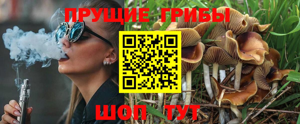 Псилоцибиновые грибы MAGIC MUSHROOMS Мценск